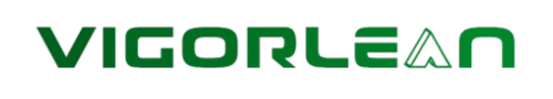 vigorlean.com